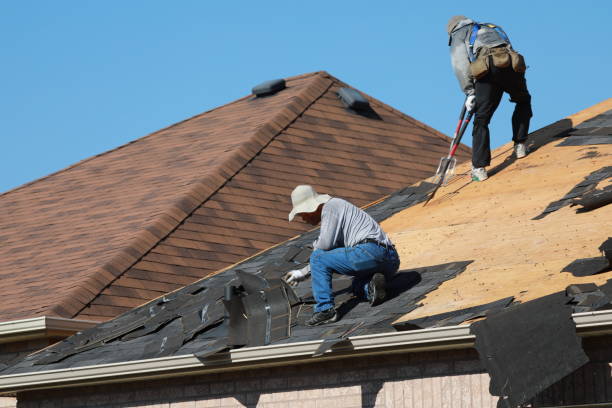 Trusted Sulligent, AL  Roofing repair and installation Experts