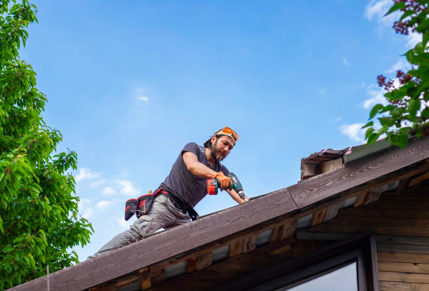 4 Ply Roofing in Sulligent, AL